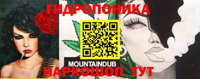 хмурый Заводоуковск