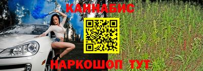 хмурый Заводоуковск