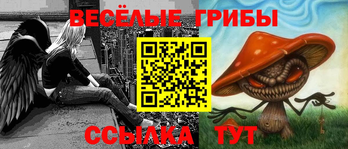 Псилоцибиновые грибы Psilocybine cubensis Кыштым