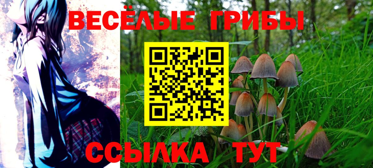 Галлюциногенные грибы мицелий  Вход с VPN  Кыштым 